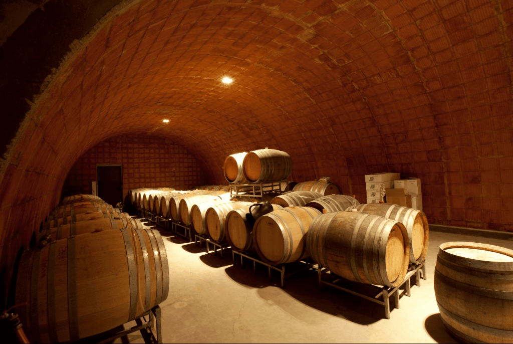 cave voûtée pour élevage du vin